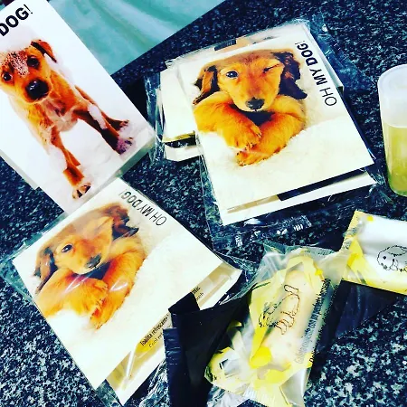 Aparthotel A Carballeira Do Tambre