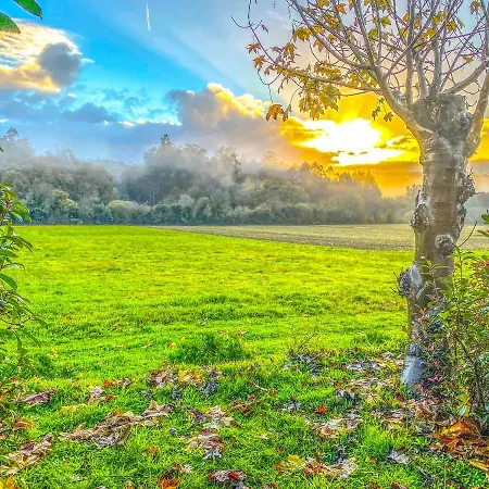 A Carballeira Do Tambre 3*