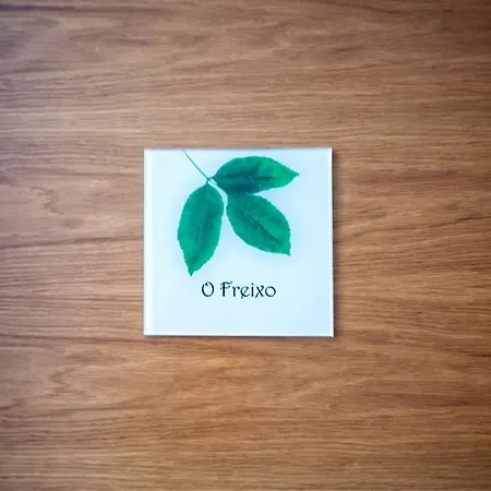 Aparthotel A Carballeira Do Tambre 3*