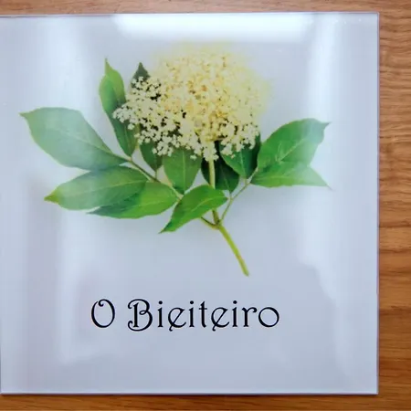 A Carballeira Do Tambre 3*