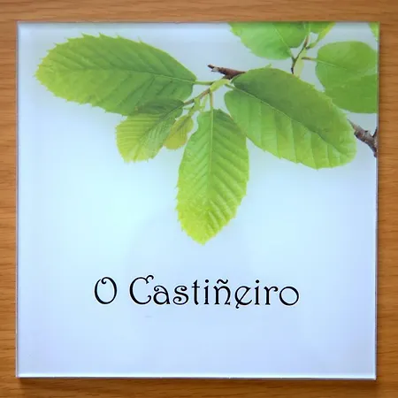 A Carballeira Do Tambre Lejlighedshotel